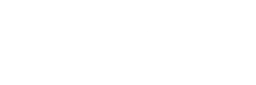 Best in Paradise