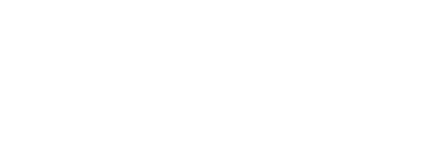 Silent Witness