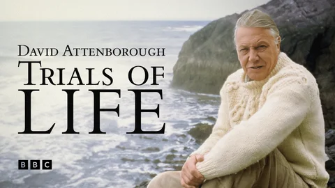 The Trials of Life