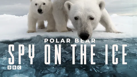 Polar Bear: Spy on the Ice