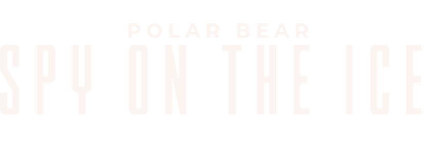 Polar Bear: Spy on the Ice