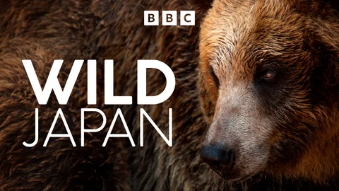 Wild Japan