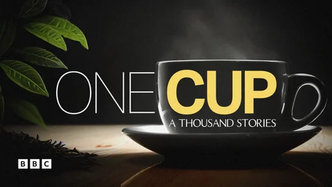 One Cup, A Thousand Stories
