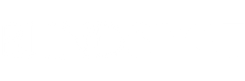 Blindspot Blindspot