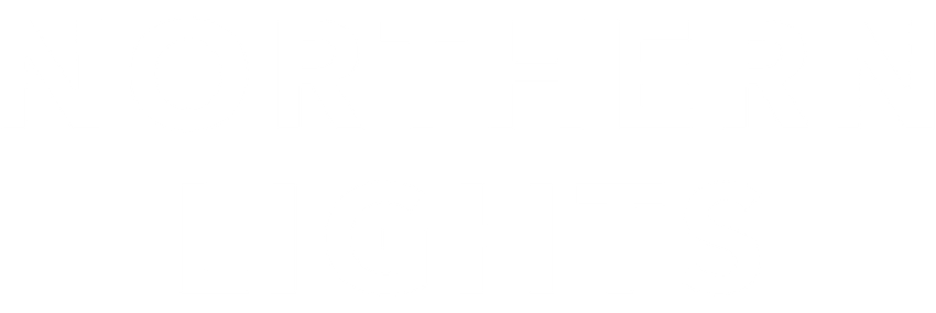 Northern Lights (2023)