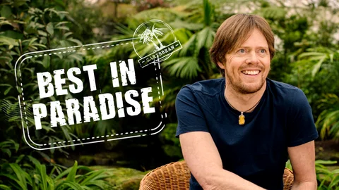 Best in Paradise