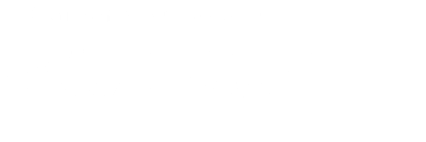 The Wingless Bird The Wingless Bird