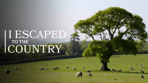 I Escaped to the Country