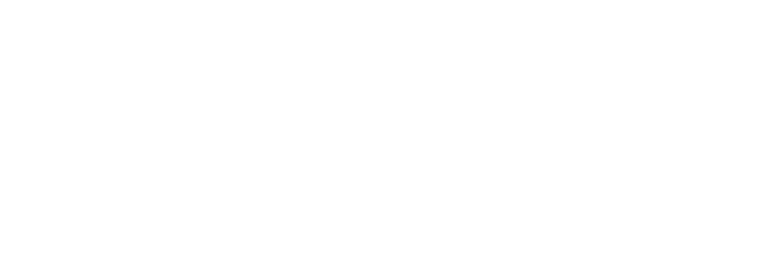 In the Dark In the Dark