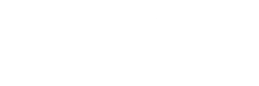 The Mallorca Files