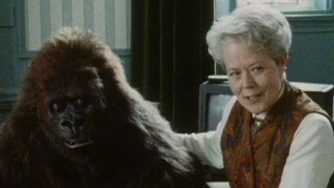 House of Monkeys