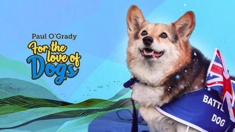 Paul O'Grady: For the Love of Dogs