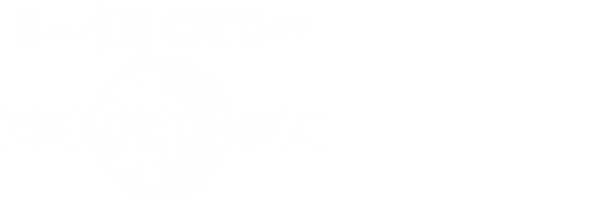 8 Out of 10 Cats Does Countdown 8 Out of 10 Cats Does Countdown