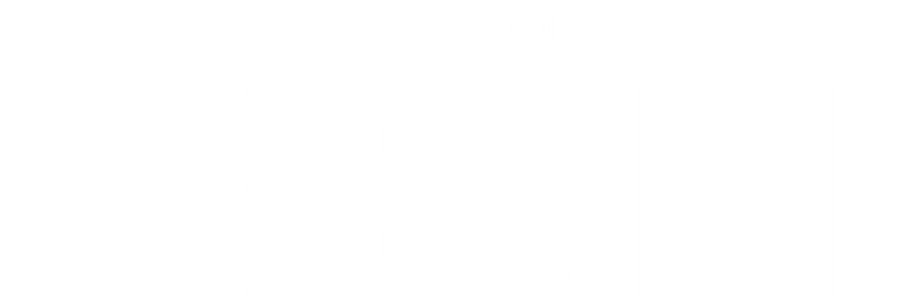 The Cleaner