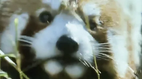 Finding Food