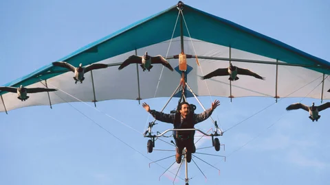 Flying High
