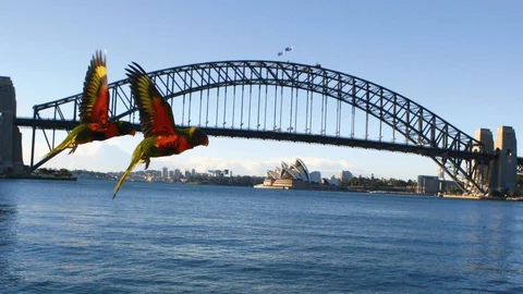 Asia and Australia