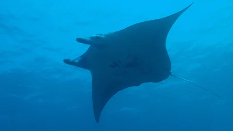 Southwest Islands