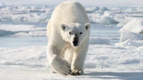 Svalbard