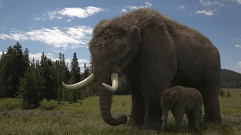 Last of the Giants