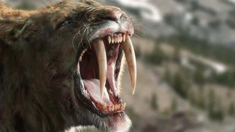 Land of the Saber-Tooth