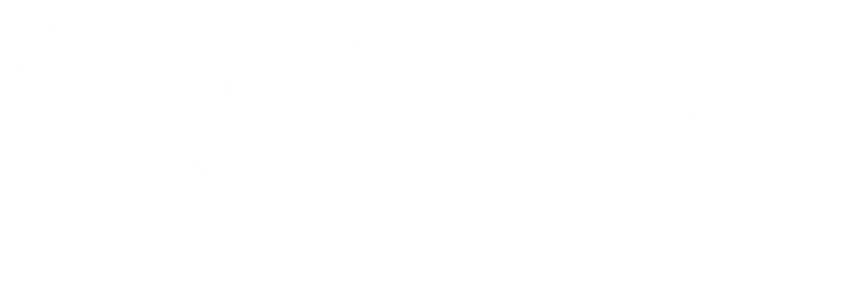 What Happened at Auschwitz