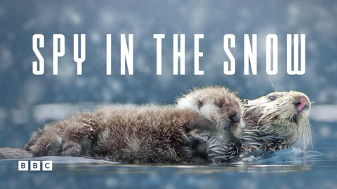 Spy in the Snow