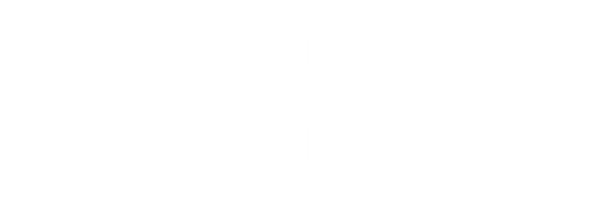 Spy in the Snow