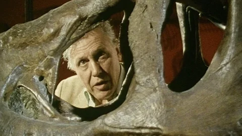Dinosaur